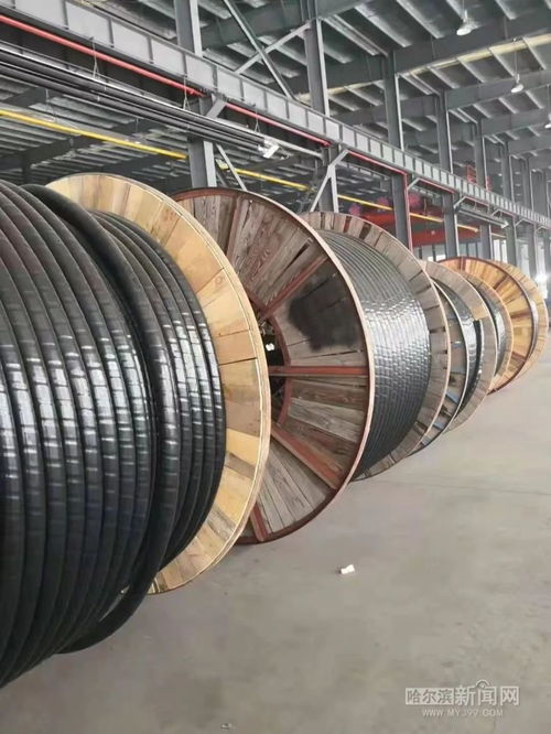 哈爾濱電纜通全國(guó) 哈纜新產(chǎn)品傳遞哈爾濱制造重要信號(hào)