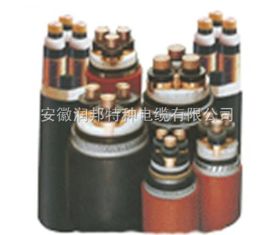 交聯(lián)聚乙烯絕緣電力電纜 現(xiàn)代電力傳輸?shù)闹袌?jiān)力量