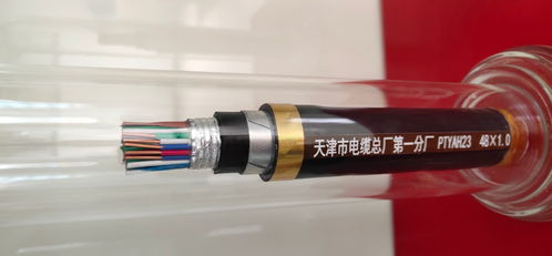 PTYA 48芯鐵路信號電纜 鐵路通信的“神經(jīng)中樞”